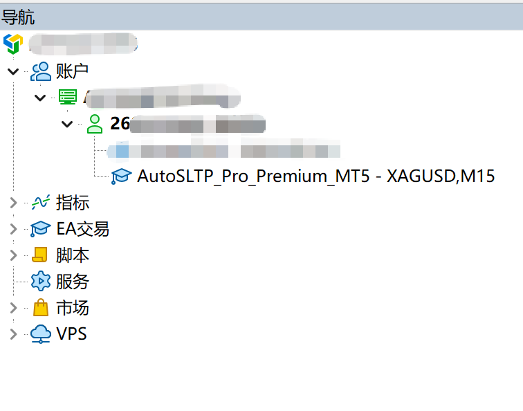 MT5 导航器面板中账户号的位置
